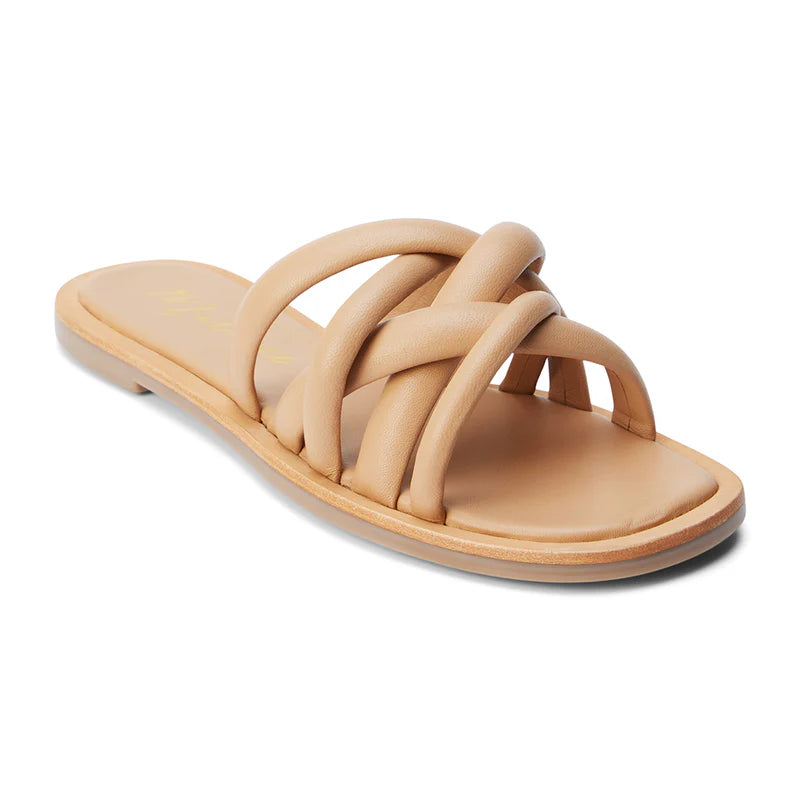 ROY SANDAL