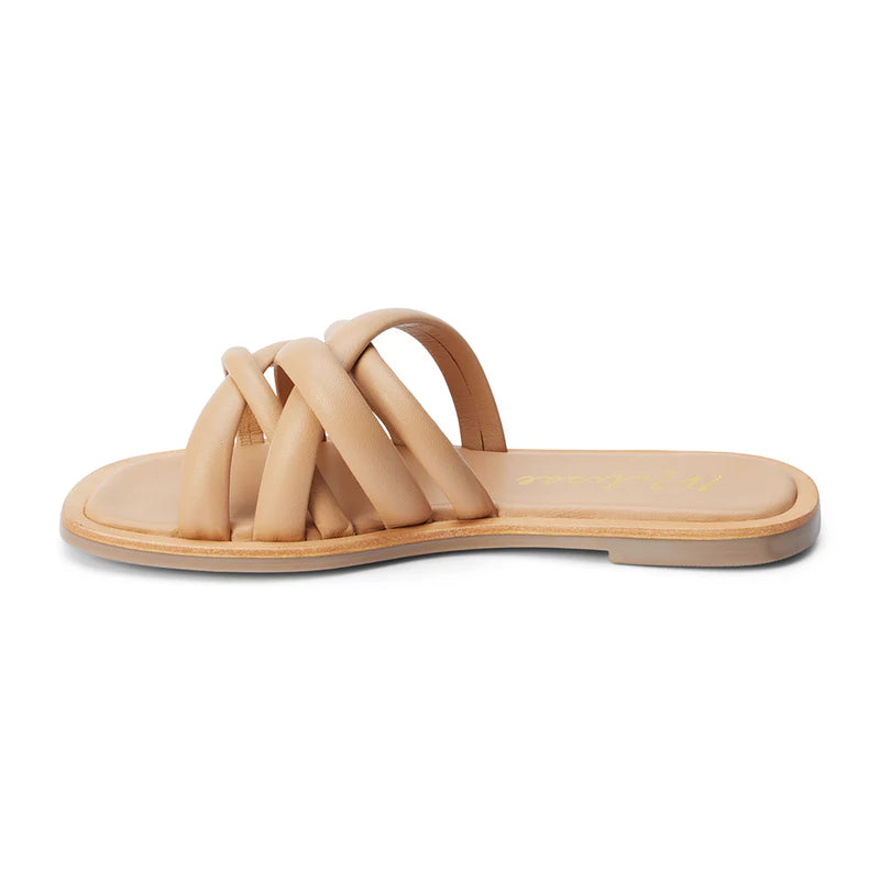 ROY SANDAL